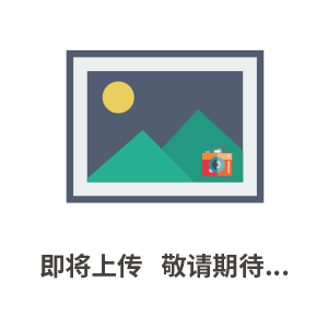 IMPAC MIKRON M315X-HT黑體輻射源/*校正器